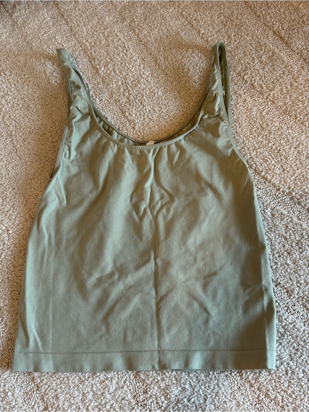 Babaton Aritzia Seamless Scoop Neck Tank Top